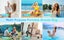 Shower Caddy Storage Mesh Bag Essentials Pocket Camping Beach Carousel 6
