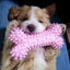 2 Pack| Puppy Teething Toys Cute Dog Chew Toys Dogs Soft Rubber Toys Set Carousel 9