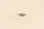0.25CT Vintage 18ct Platinum & Gold DIamond ring Carousel 5