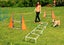 Dog Agility Training Equipment Carousel 3