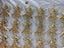 Seaman Combat Specialist Pin Carousel 1