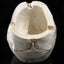 Skull Ashtray Ash Tray Home Office Decor Cigarette Ash Tray Skull Ashtray Gifts Carousel 3