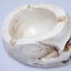 Skull Ashtray Ash Tray Home Office Decor Cigarette Ash Tray Skull Ashtray Gifts Carousel 4
