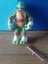 Teenage mutant ninja turtle Carousel 1