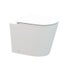 MATT WHITE SLIM BACK TO WALL PAN PACKAGE + PUSH PLATE - BLACK FRIDAY SALE Carousel 4