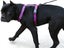 Pet Supplies Dog Harness NZ Clearance Carousel 6