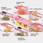 Vegetable Slicer Moline Cutter Kitchen Food processor *Local STOCK NOW* Carousel 5