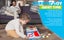 Busy Board Montessori Toys,Toddlers Travel Toy Carousel 4