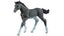 Schleich Trakehner Foal Carousel 1