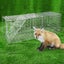 Humane Animal Trap Cage 94 x 34 x 36cm - Silver Carousel 6