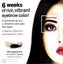 Godefroy Instant Eye Brow Tint Kit 6 Weeks Natural Black Carousel 1