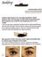 Godefroy Instant Eye Brow Tint Kit 6 Weeks Natural Black Carousel 2