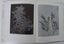 Native Plant Studies by WC Davies 139 B/w Plates Carousel 15