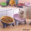 Cat Dog Bowl with Stand Pet Feeding Food Bowls Dogs Bunny Rabbit Carousel 2