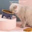 Cat Dog Bowl with Stand Pet Feeding Food Bowls Dogs Bunny Rabbit Carousel 3