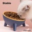 Cat Dog Bowl with Stand Pet Feeding Food Bowls Dogs Bunny Rabbit Carousel 7