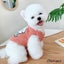 Cute Cartoon Small Dog Clothes Designer Dog Clothes Poodle Chihuahua Carousel 4