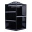 TODO 360 Rotating Makeup Organizer Container Spinning Hanger Rack Black Carousel 2
