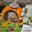 Cute Design Ceramics Pumpkin Small Animals Hamsters Rat Cage Guinea Carousel 1