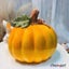 Cute Design Ceramics Pumpkin Small Animals Hamsters Rat Cage Guinea Carousel 5