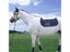 Saddle Blanket Saddle Pad Carousel 3