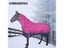 High-quality Horse Supplies Removable Neck Waterproof Velvet Warm Winter Thick Carousel 6