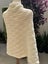 Knitting Pattern, Camellia Shawl Carousel 6