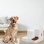 3.5L Automatic Dog Cat Feeder Food and Water Dispenser Set with Pet Food Bowl Carousel 3