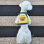 Bear Vest Pet Dog Clothes Fashion Cotton Clothing Dogs Super Small Carousel 3