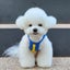 Bear Vest Pet Dog Clothes Fashion Cotton Clothing Dogs Super Small Carousel 4