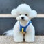 Bear Vest Pet Dog Clothes Fashion Cotton Clothing Dogs Super Small Carousel 6