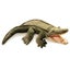 Loading Image 1 of 2