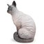 PNSO Saizeriya the Siamese Cat Carousel 3