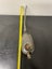 Vintage/antique Kaye’s Oil Can Carousel 13