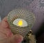 glass candle cup with electrical candle Carousel 2