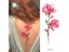 Temporary Tattoo Stickers Carousel 4