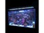 PTN New Fish Tank Aquarium Light Sale Sale Carousel 10