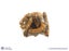 Chicken Necks 100g Carousel 1