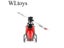 WLtoys XK K110 Upgrade K110S Radio Contorl Drone 2.4G 6CH 3D 6G System Carousel 6