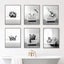 6PCS Happy Animals Swimming Black White Elephant Dog Posters Wall Art Carousel 1