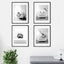6PCS Happy Animals Swimming Black White Elephant Dog Posters Wall Art Carousel 4