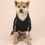 Pet Dog Winter Waterproof Coat Puppy Warm Jacket The Dog Face Hoodie Carousel 6