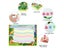 8 Types Reusable Magic Water Drawing Mat Drawing Pens 1 Stamp Set Coloring Carousel 5