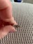 Pink crystal square Sterling silver Royal Essence ring Carousel 11