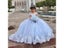 Light Sky Blue Puffy Flower Girl Dress Long Sleeves Lace Appliqued Tulle Carousel 2