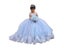 Light Sky Blue Puffy Flower Girl Dress Long Sleeves Lace Appliqued Tulle Carousel 1