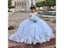 Light Sky Blue Puffy Flower Girl Dress Long Sleeves Lace Appliqued Tulle Carousel 5