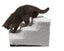 PTN NEW Pet Stairs Steps Sale Sale Carousel 7