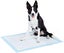 PET Training Pads Carousel 2