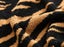 Tiger Pattern Throw Blanket - Extra Warm and Cozy for Winter! Carousel 5